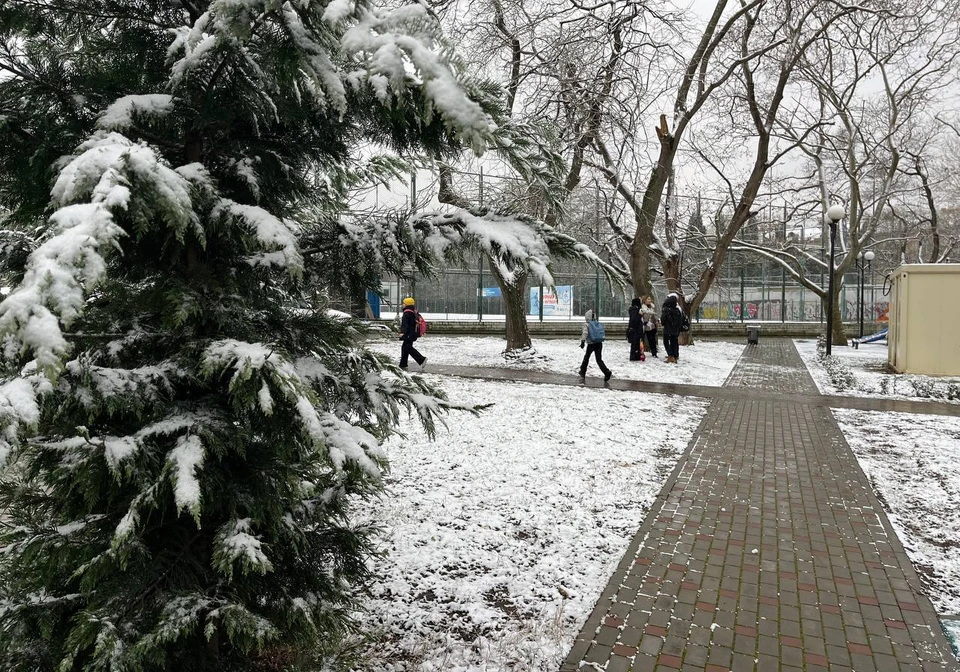 Февраль не сдает «зимних» позиций