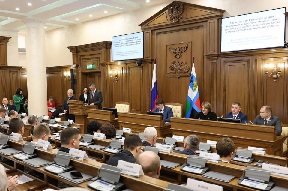 Фото – архив пресс-службы Белгородской облдумы.