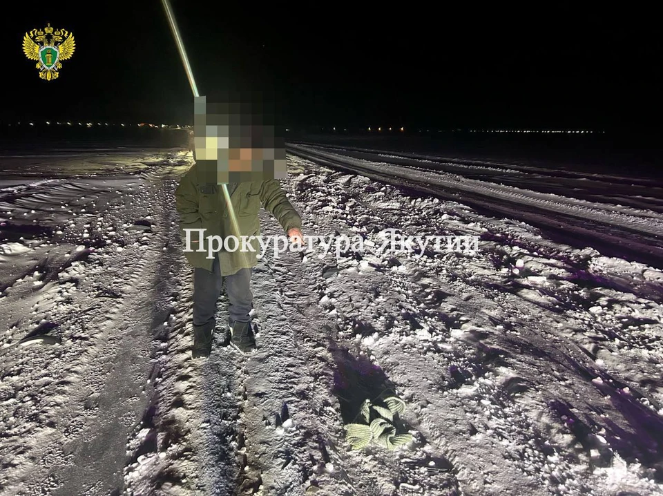 Дело после смерти пешехода в ДТП завели в Якутии Фото: прокуратура Якутии