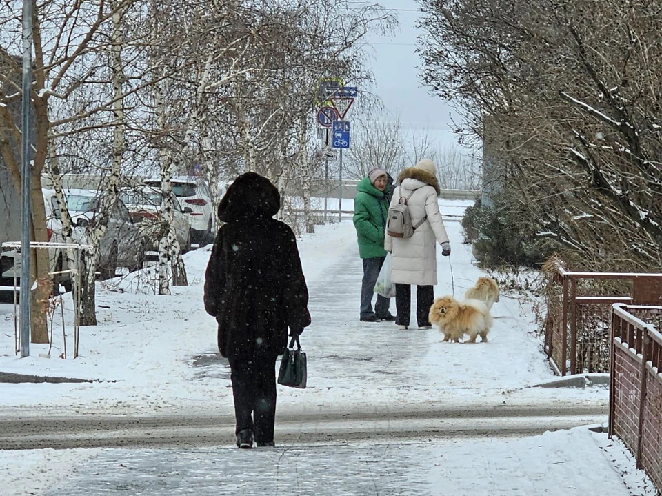 В Волгограде добавится снега.