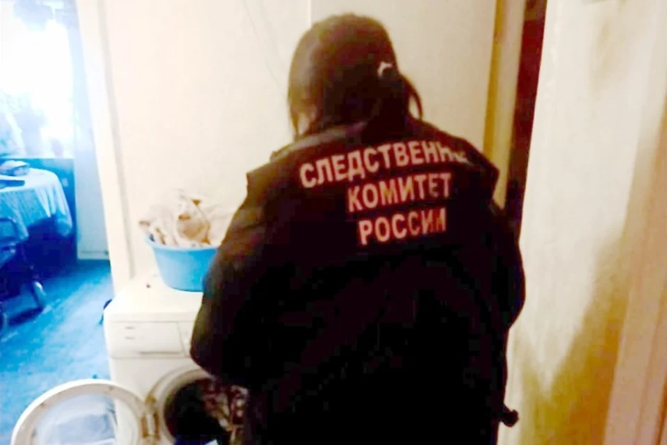 Обвиняемый арестован. Фото: СУ СК Удмуртии