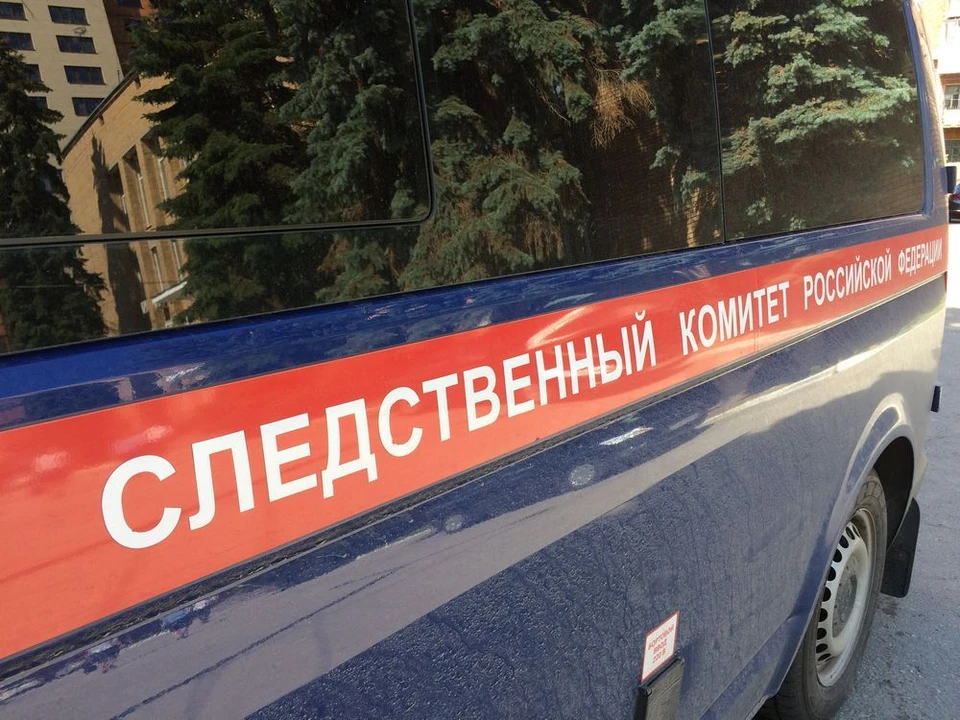 В Туле подросток выстрелил в голову мужчине во время драки в кафе.
