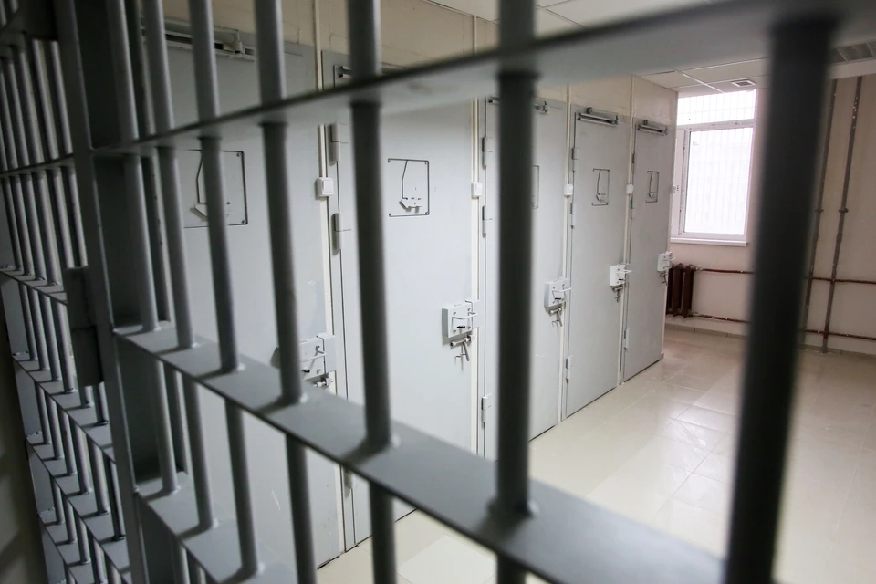 Подозреваемого в убийстве женщины-инвалида поместили в СИЗО Петербурга на два месяца.