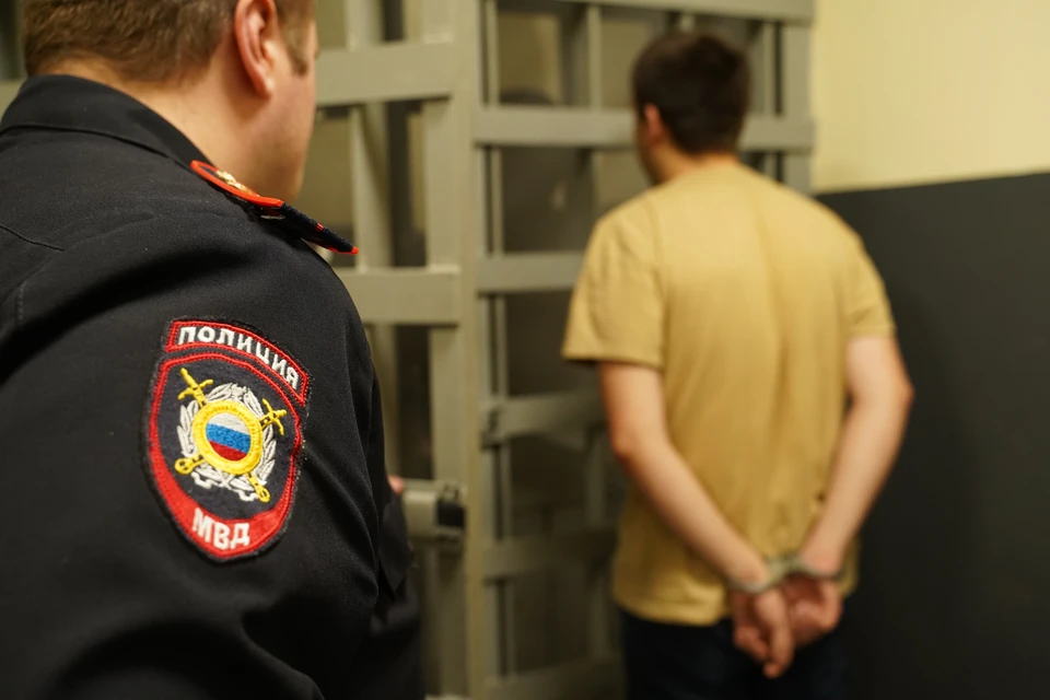 Подозреваемый находится под стражей.