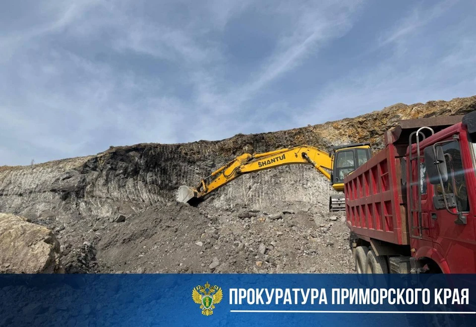 Возбуждено уголовное дело, фигурант задержан. Фото: прокуратура Приморского края
