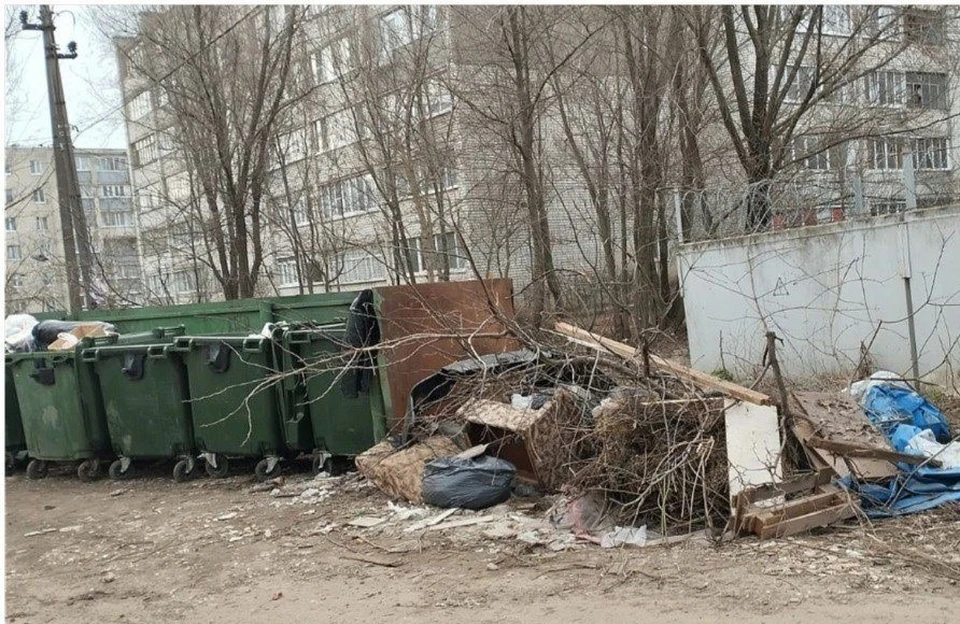 К древесному мусору быстро "добавляется" бытовой и территория превращается в свалку