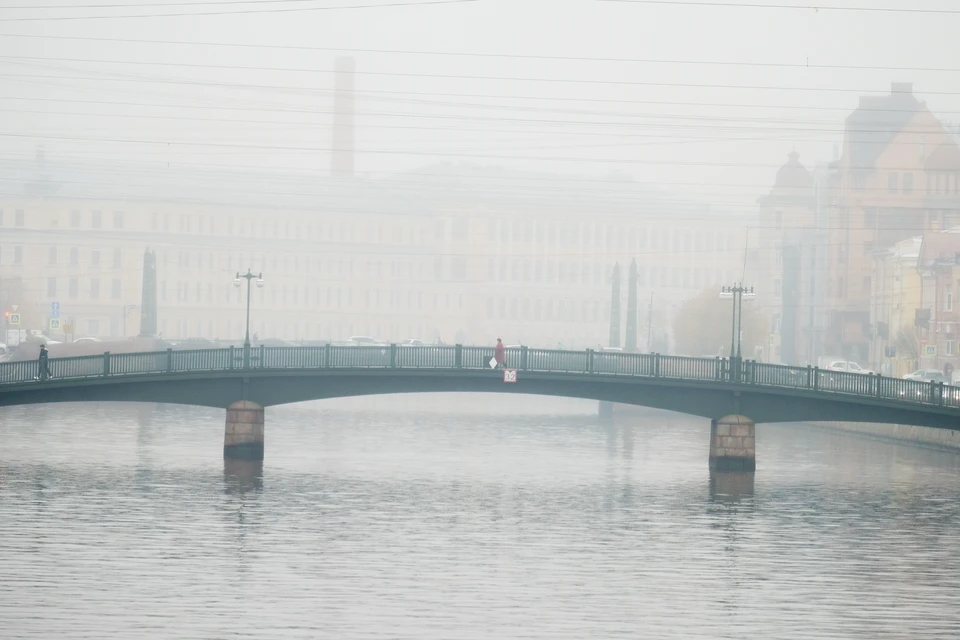 Густой туман накроет Петербург 1 марта.