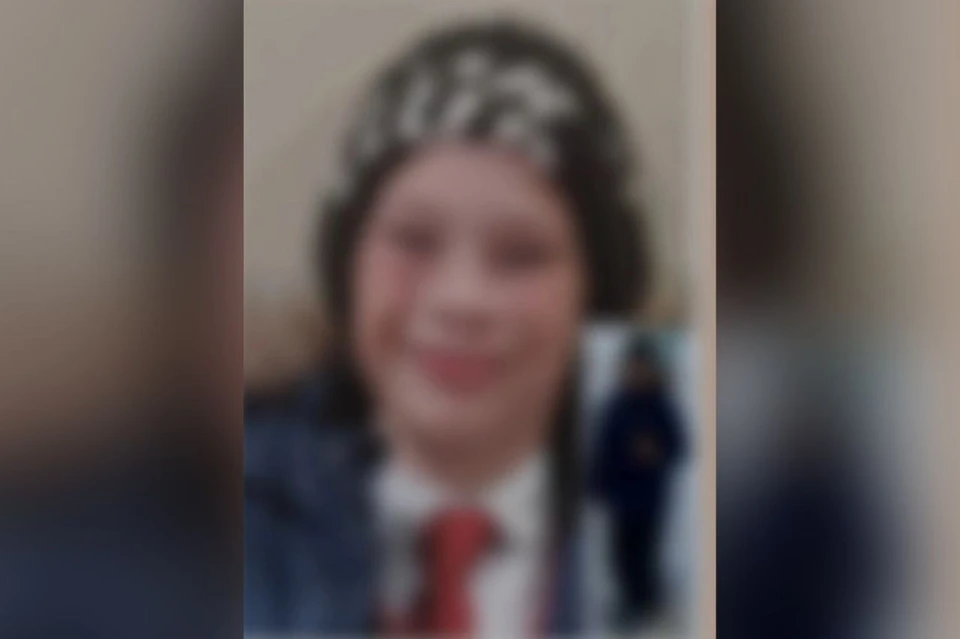 В Новосибирске завершились поиски мальчика с рюкзаком с Человеком-пауком. Фото: ДПСО «ЛизаАлерт» по Новосибирской области.