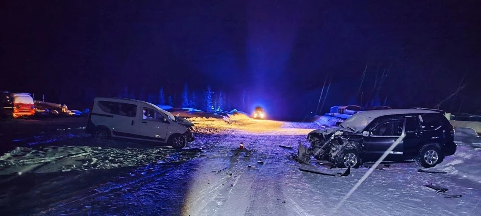 Фото: ОМВД по Надымскому району