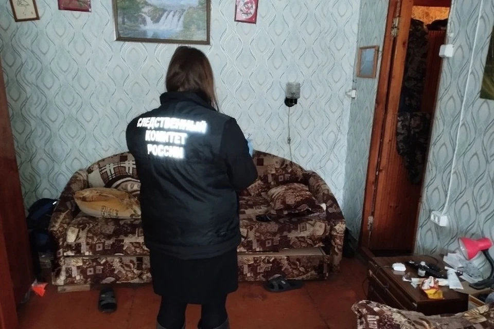Обвиняемый арестован. Фото: СУ СК Удмуртии