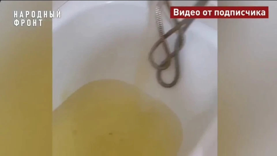 Фото: Народный фронт Костромская область