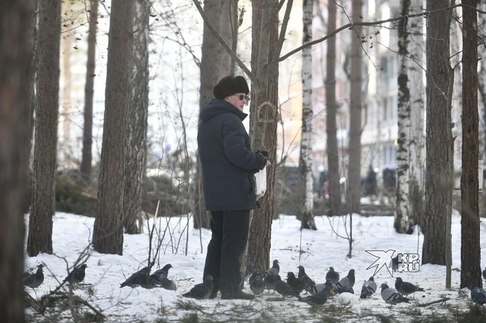 Алена Третьякова принимала участие в изучении растений и ландшафта Березовой рощи