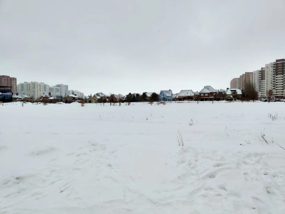 Пустырь находится в районе улиц Высотная и Серебряной росы. Фото: телеграм-канал Дениса Батурина