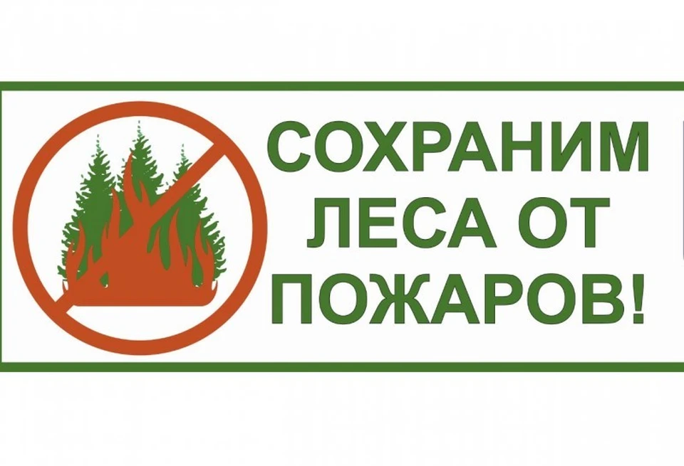 За нарушение правил пожарной безопасности в лесах предусмотрены административные штрафы