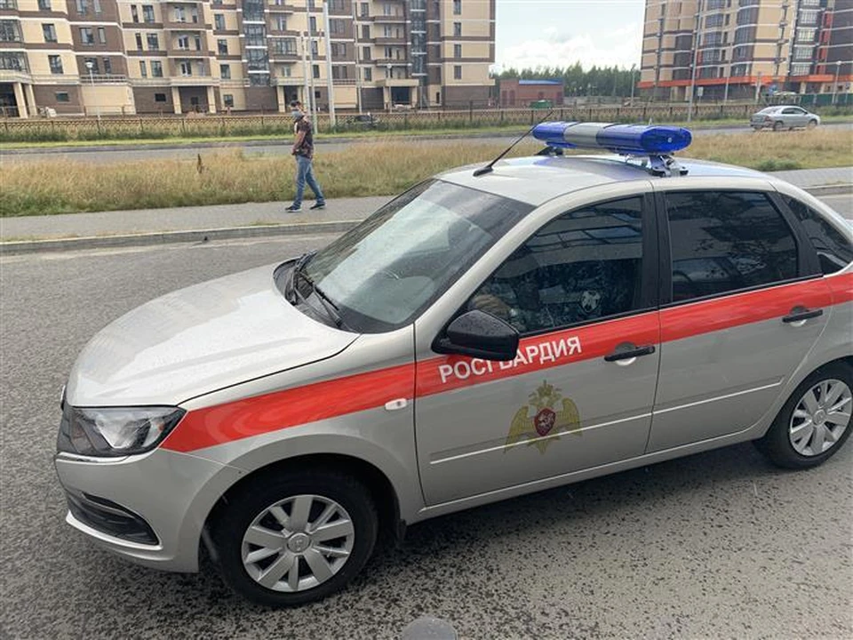 Более 30 административных правонарушений пресекли тульские росгвардейцы на неделе
