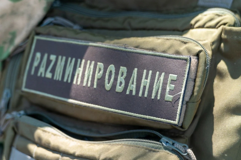 На Кубани взрывотехники за месяц уничтожили 62 боеприпаса времен войны Фото: пресс-служба ГУ Росгвардии по Краснодарскому краю