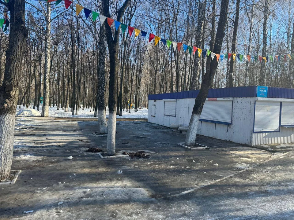 В Ульяновске в парке «Молодежный» по просьбе горожан снесли кафе | ФОТО: Дирекция парков Ульяновска