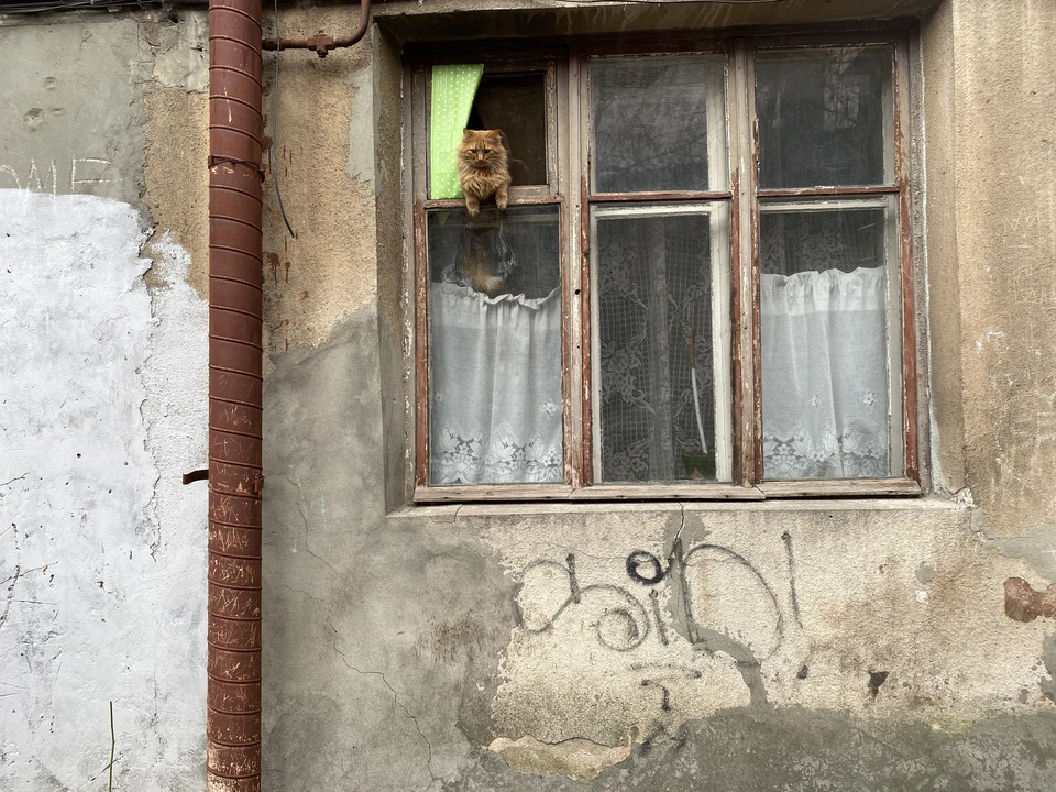 Эта история могла бы стать забавным новогодним воспоминанием, если бы не последствия
