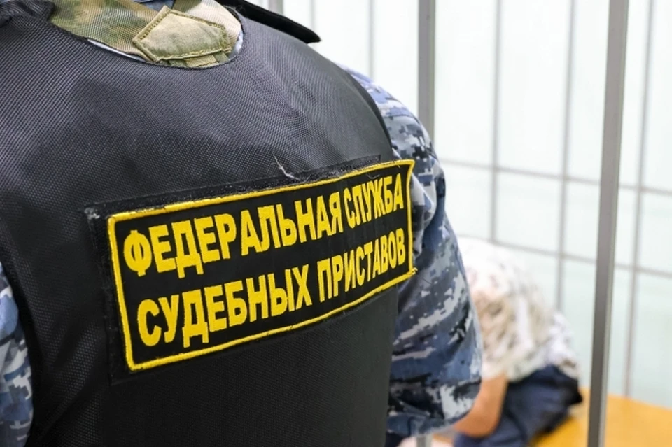 Под Новосибирском у должника чуть не забрали квартиру из-за почти 900 тысяч рублей