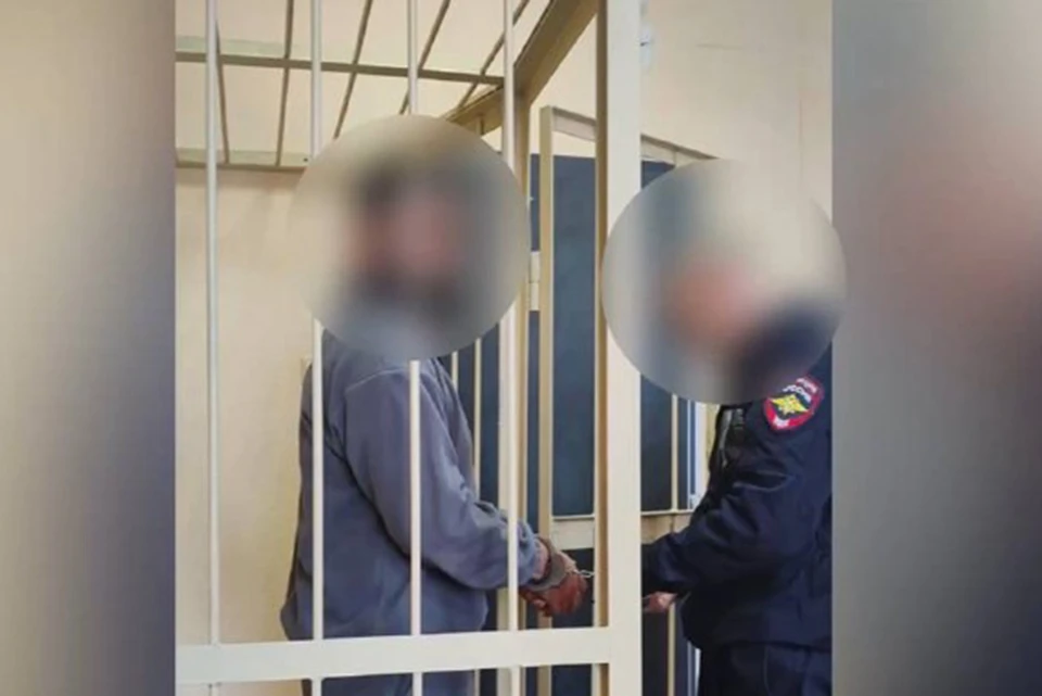 На время расследования фигуранта дела заключили под стражу на два месяца.
