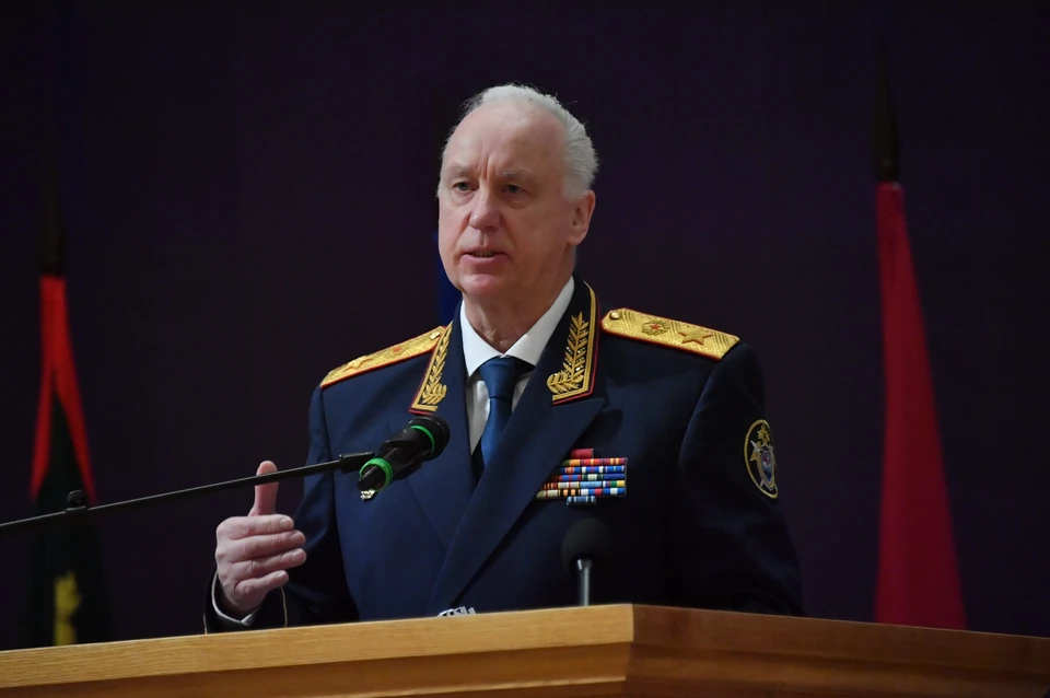 СК расследует нападение стаи бродячих собак на детей в Сочи
