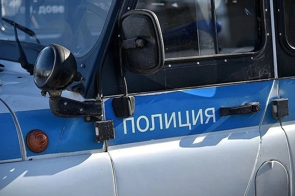 Житель Бийска украл огромного плюшевого медведя, чтобы подарить девушке.