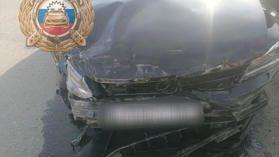 Фото: Госавтоинспекция