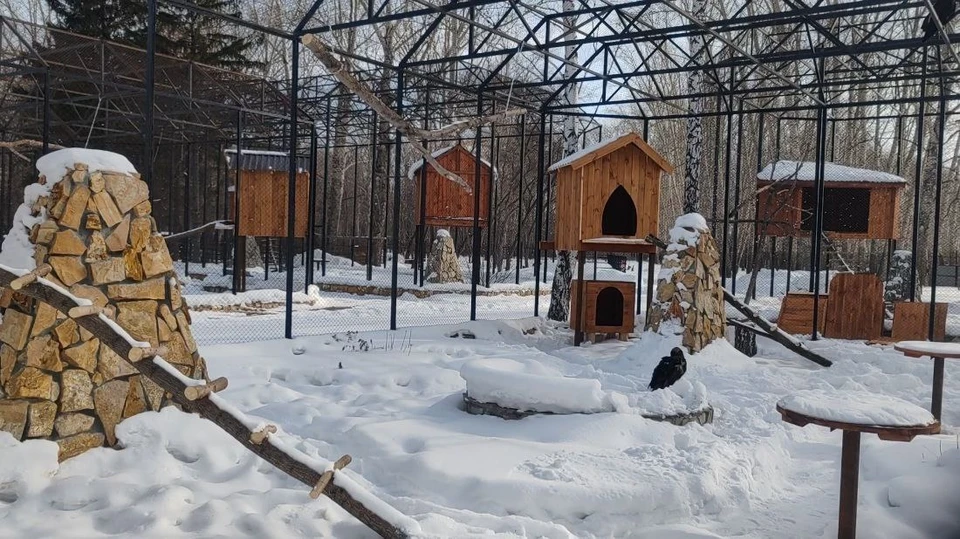 Фото: пресс-служба Большереченского зоопарка