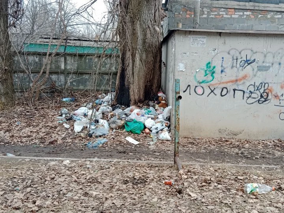 Курян призывают убирать мусор за собой
