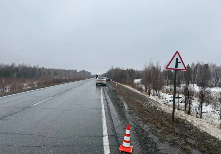 Заяц-камикадзе: дикий зверь спровоцировал ДТП на тюменской трассе, в котором пострадала семья