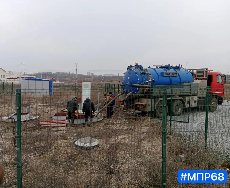 В пруду у села Донское Тамбовского округа зафиксировали массовую гибель рыбы
