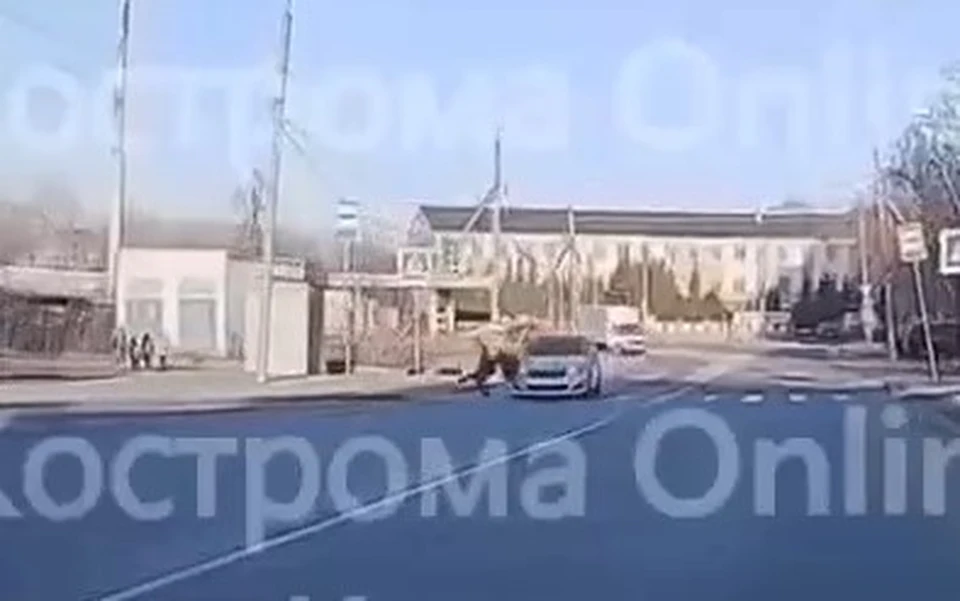 Фото: vk.com/kostroma_onlain/скриншот видео