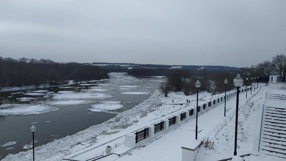 Фото Максима Горохова