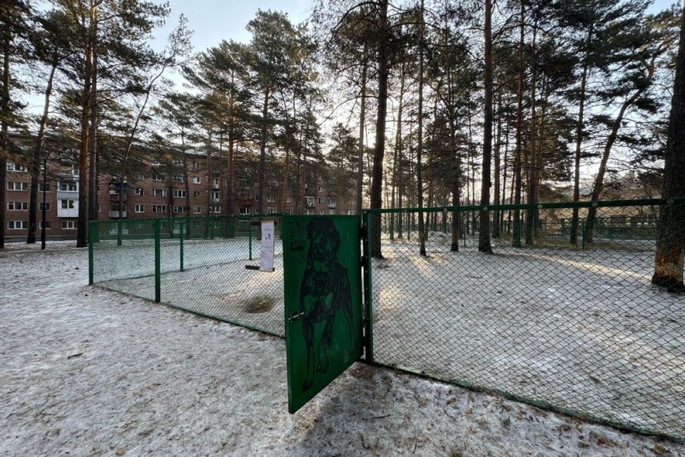 В Ангарске демонтируют вольер для собак возле детсада. Фото: пресс-служба судов общей юрисдикции Иркутской области.