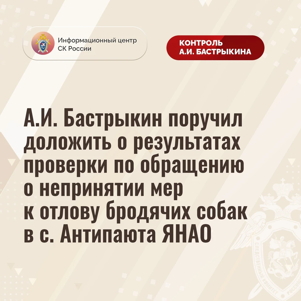 Фото: информационный центр СК России