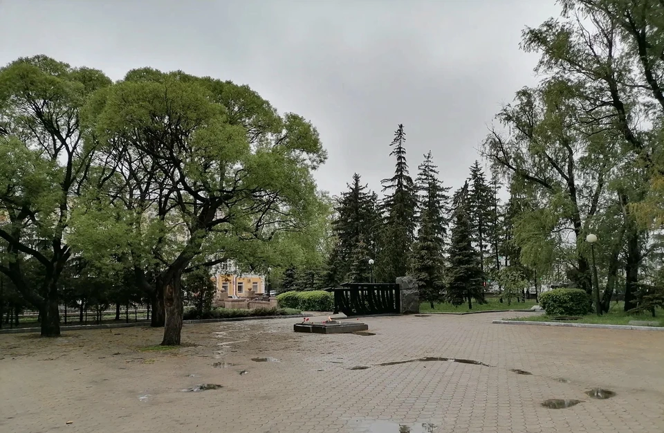 Фото: Artem Voronov / Яндекс.Карты