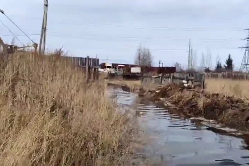 Спецтехника откачивает воду.