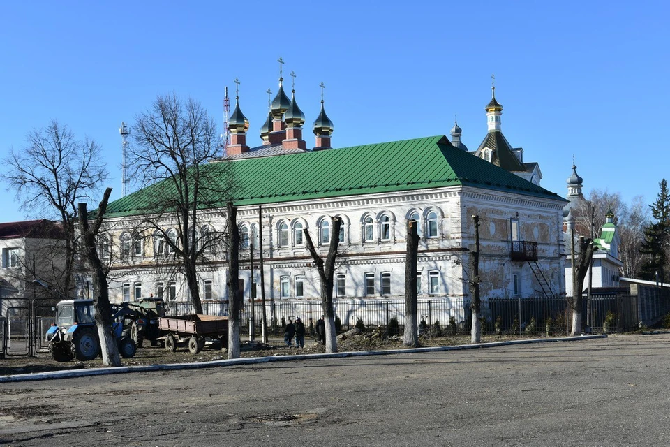 Обрезку деревьев Кадоме жестко раскритиковал губернатор Павел Малков. Фото: издательство "Пресса".