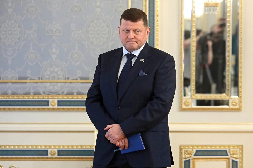 Посол Украины в Великобритании Валерий Залужный