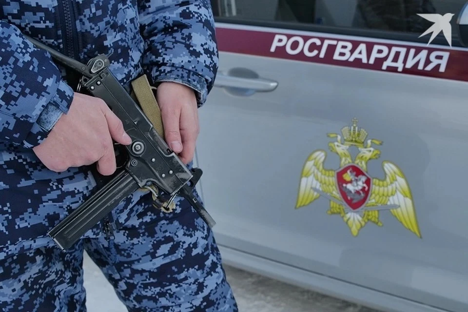 В Коми напавший на сотрудника Росгвардии вахтовик пойдет под суд