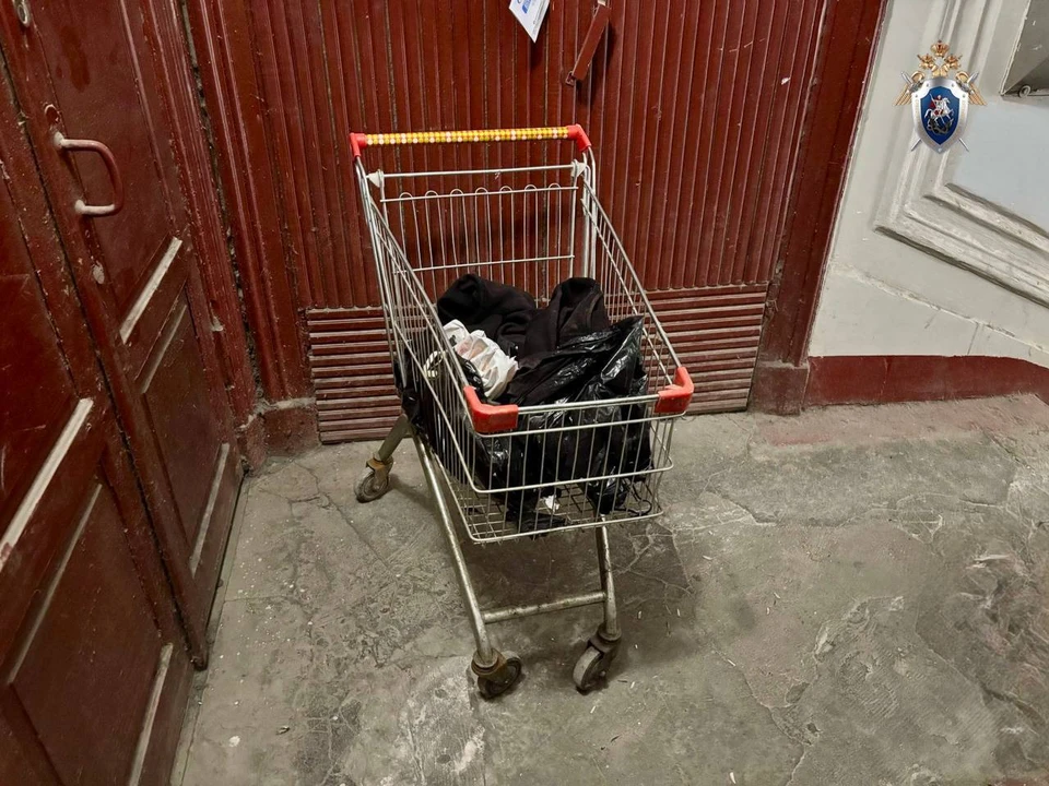 В Санкт-Петербурге возбуждено уголовное дело по факту убийства женщины. Фото: ГСУ СК России по Петербургу
