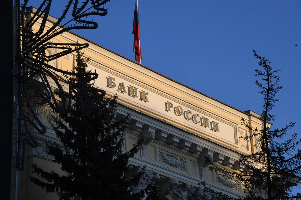 Правительство не поддержало предложение ограничить полномочия Центрального банка