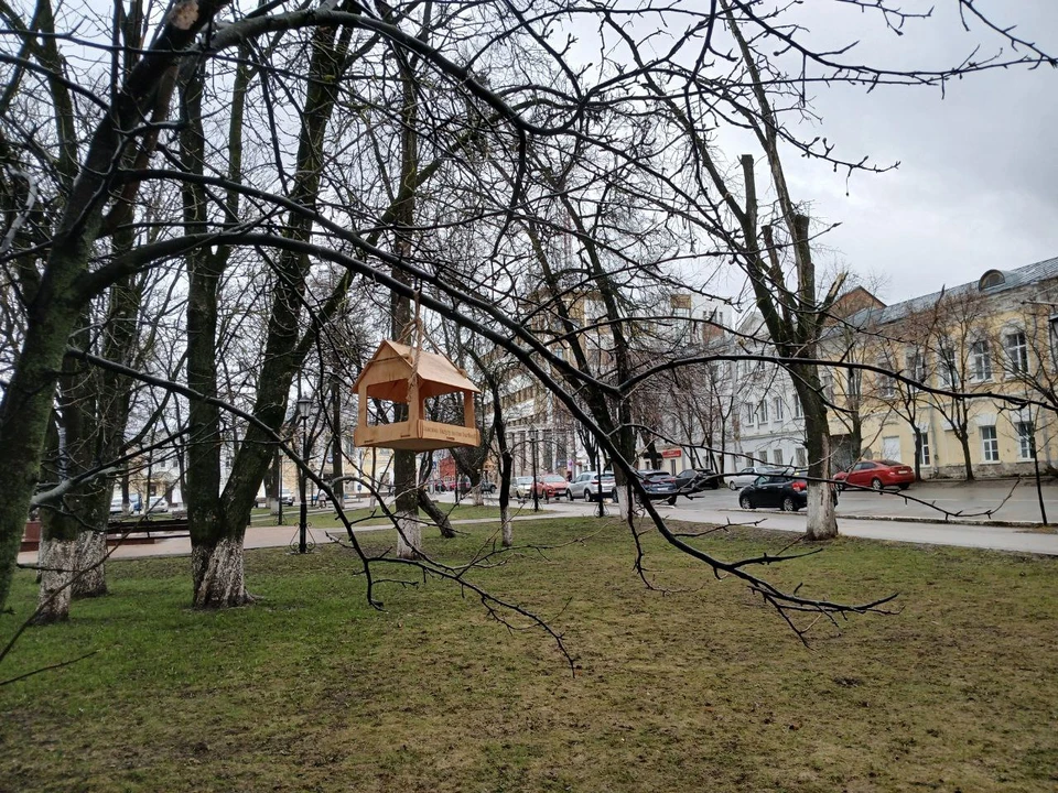 В Калуге за сутки выпало 60% от месячной нормы осадков