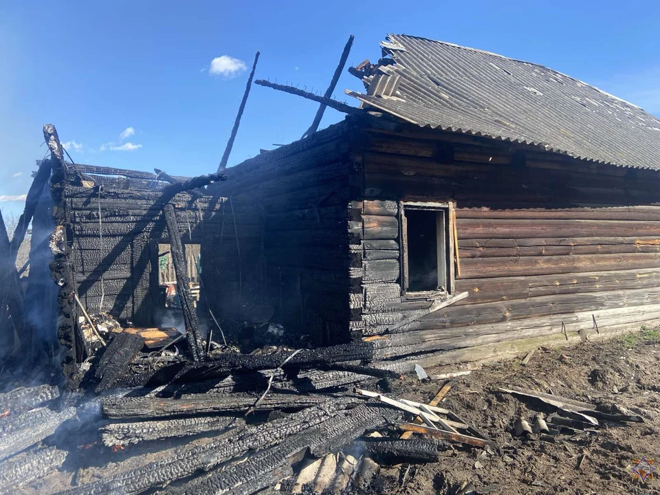 Пожар в Бобруйском районе уничтожил семь строений и повредил дачный дом. Фото: МЧС Беларуси.