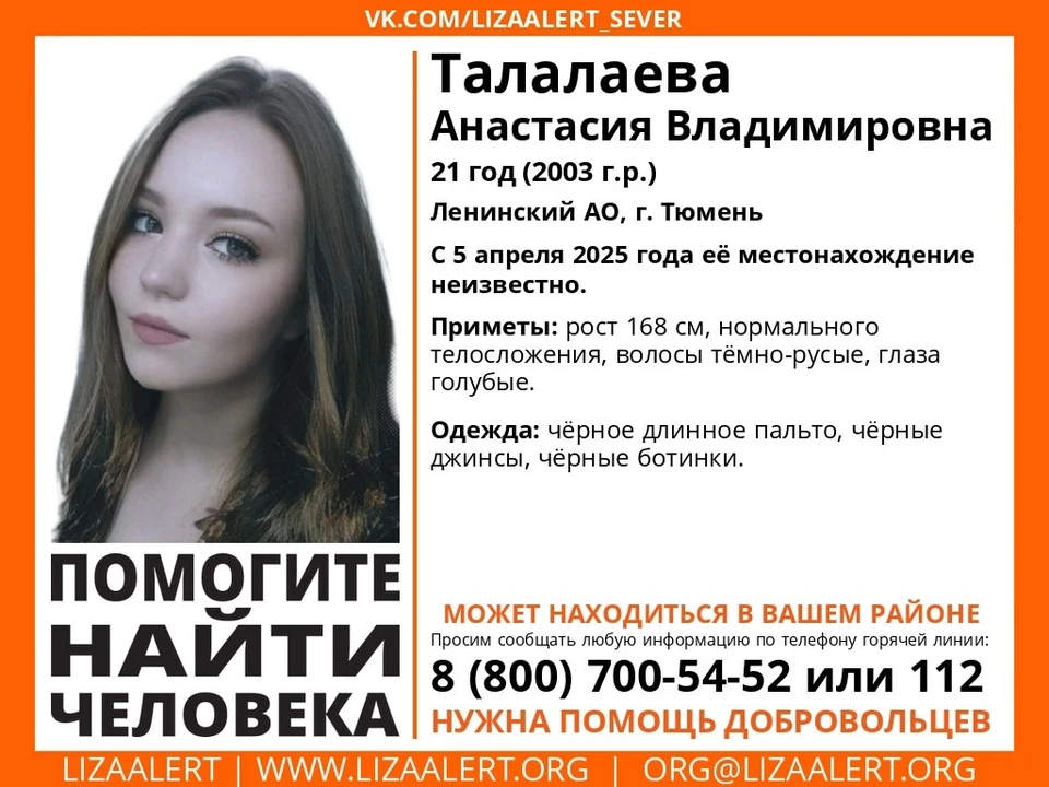 Фото: Поисковый отряд «ЛизаАлерт» Тюменской области.