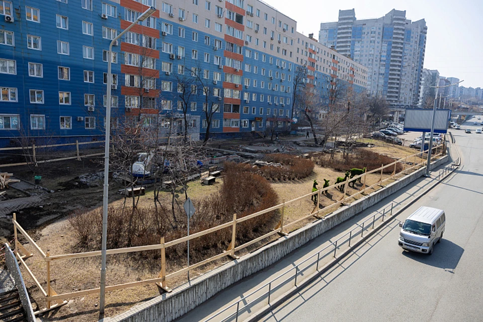 Сквер на Некрасовской.