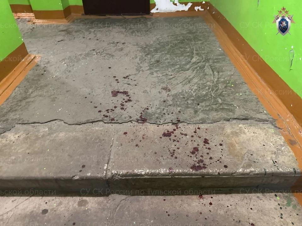 Житель Донского предстанет перед судом за убийство знакомого на лестничной площадке.