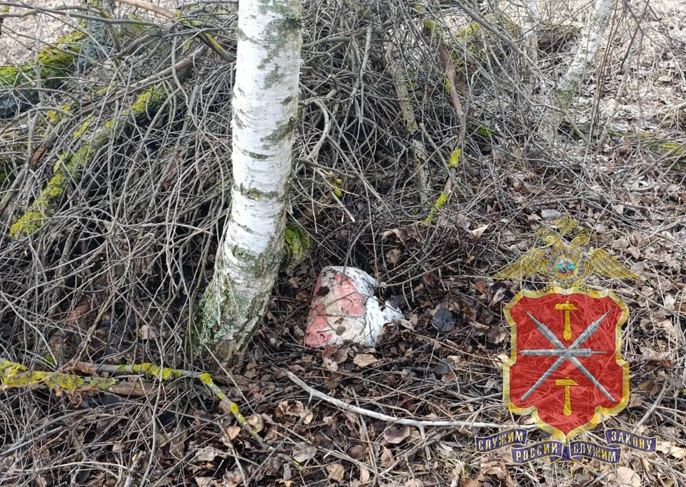 В Одоевском районе задержали мужчину с 10 килограммами синтетических наркотиков.