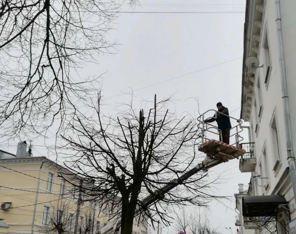 Фото: пресс-служба администрации города Костромы