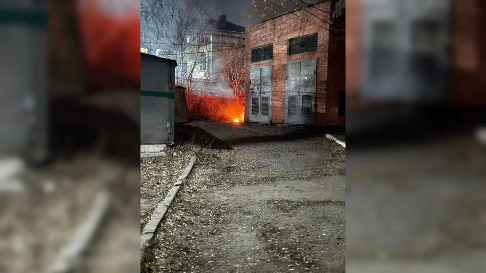Фото: предоставлены редакции «КП Омск» Валерией Коршуновой